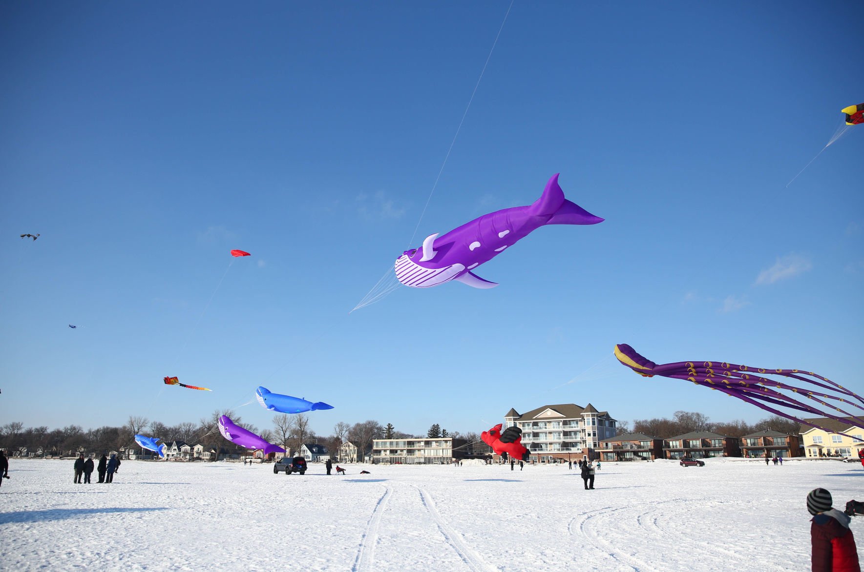 Color the Wind kite festival 02-15-2020 (61).jpg